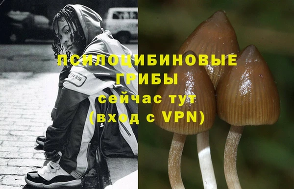 ALPHA-PVP Алзамай