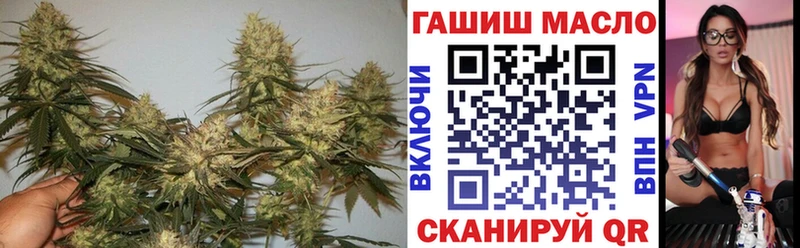 дарк нет Telegram  Анива  ТГК концентрат 